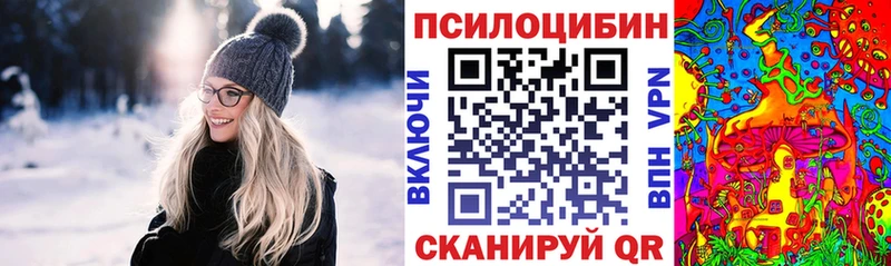 где продают Тутаев Псилоцибиновые грибы Psilocybine cubensis